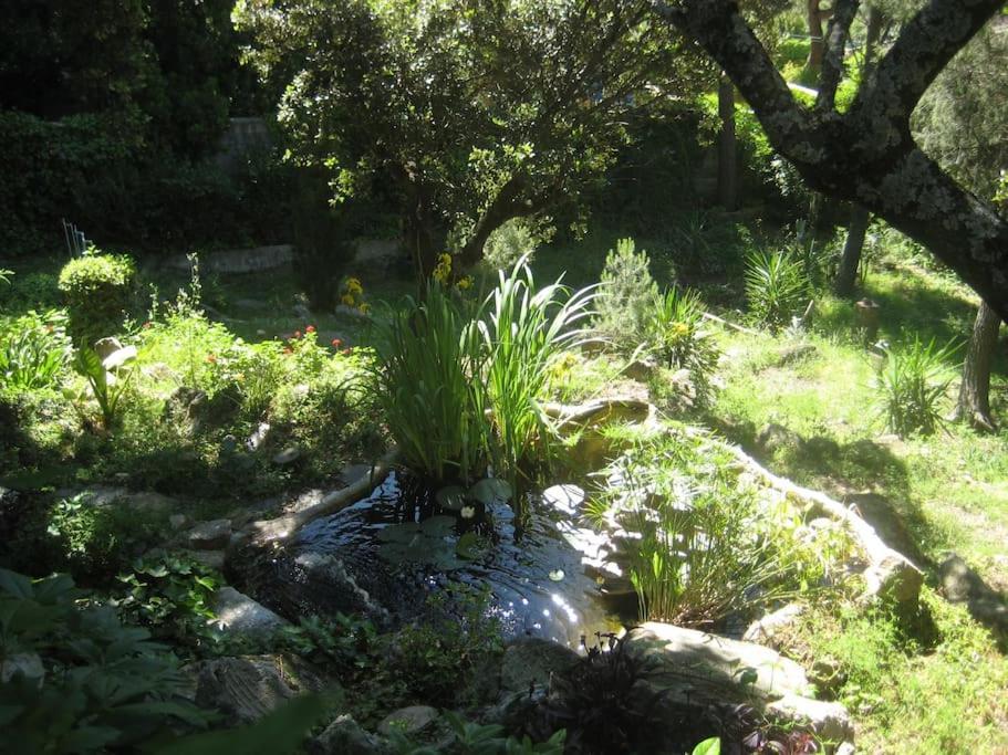La Rocalla Del Tietar Villa Sotillo de la Adrada Exteriör bild