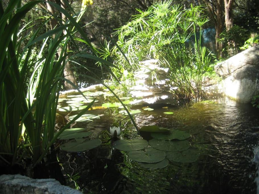 La Rocalla Del Tietar Villa Sotillo de la Adrada Exteriör bild