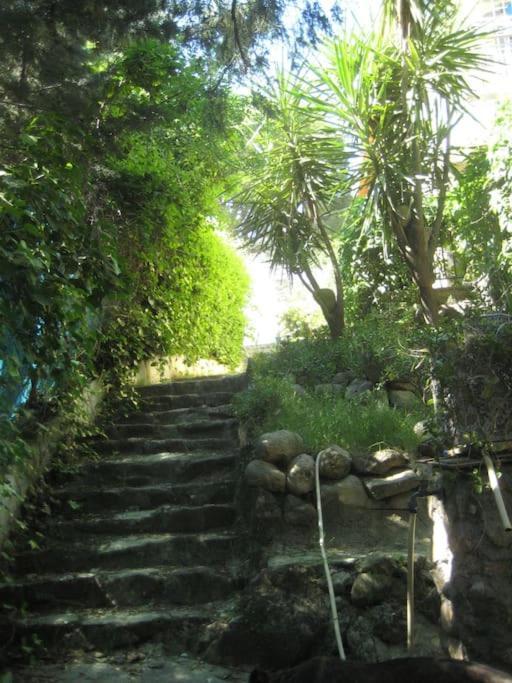 La Rocalla Del Tietar Villa Sotillo de la Adrada Exteriör bild